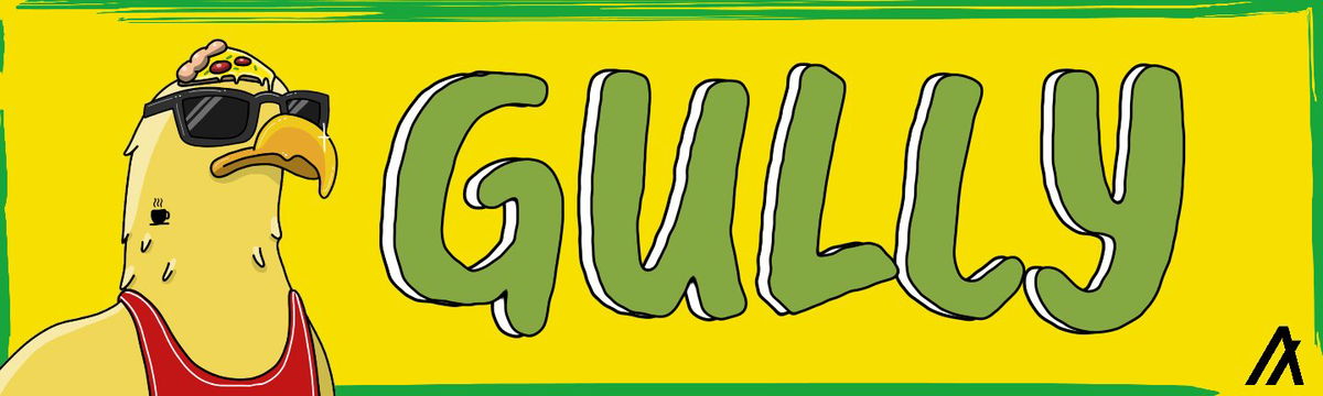 GULLY banner