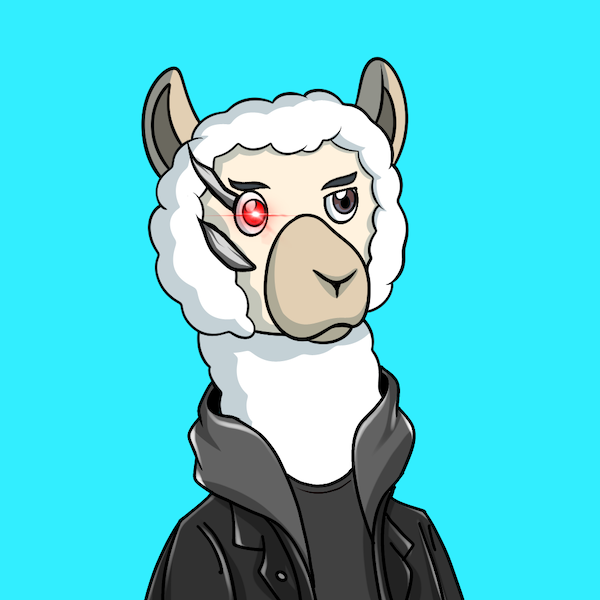 Algollama's avatar