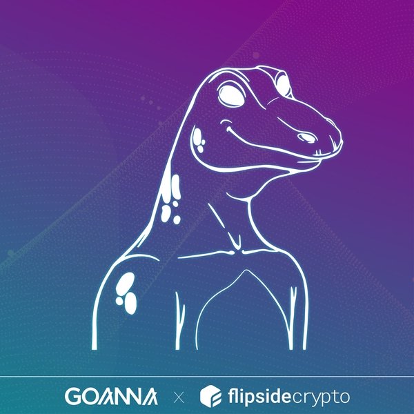 Goanna x Flipside banner