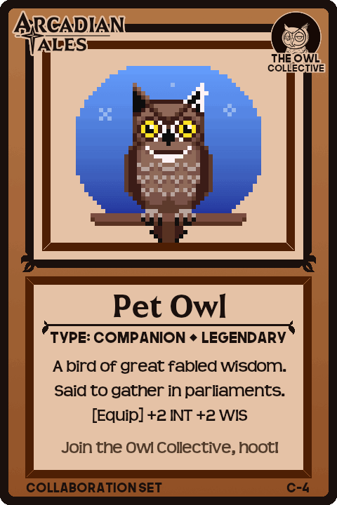 An image of Card C-4 - Pet Owl