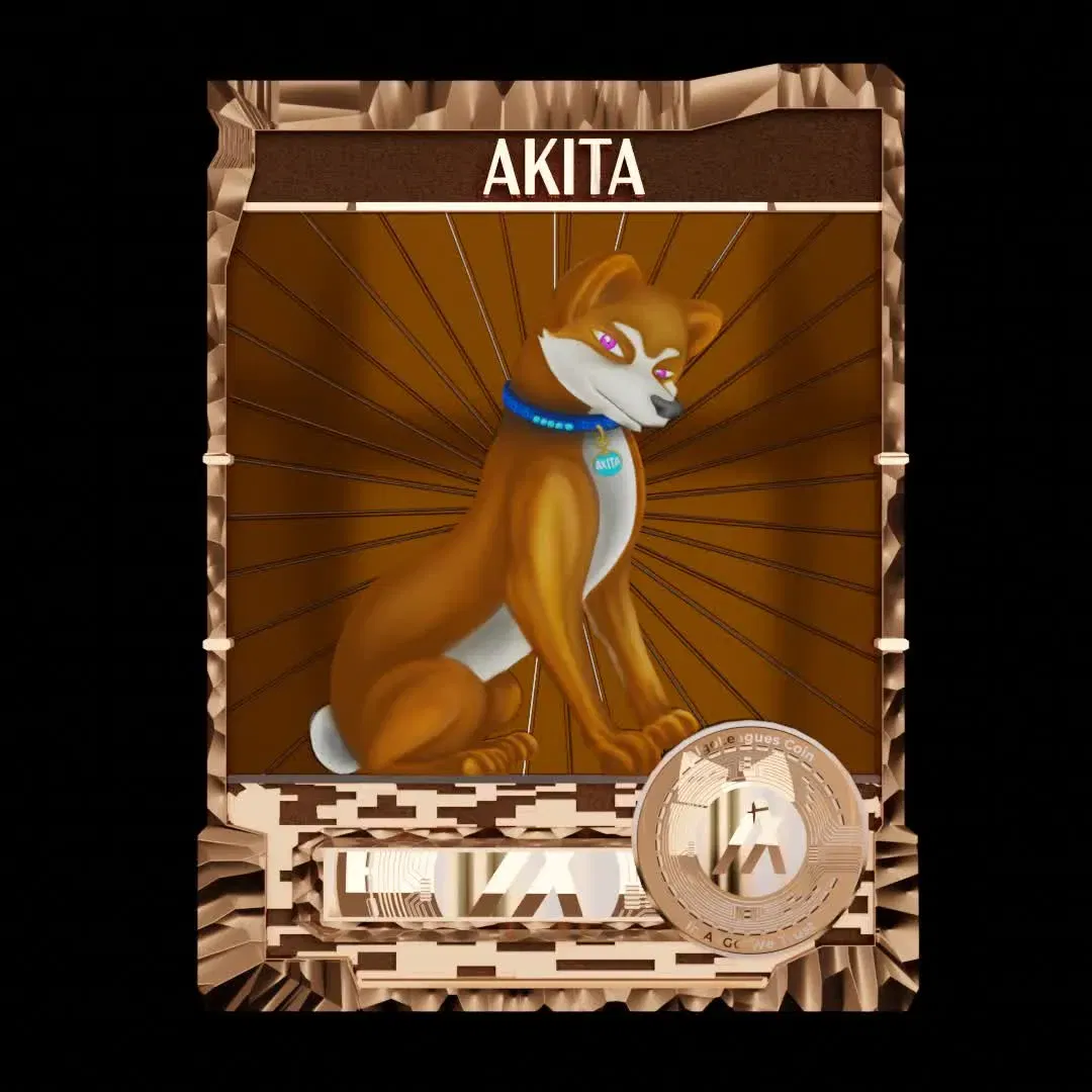 An image of Akita(Rare)