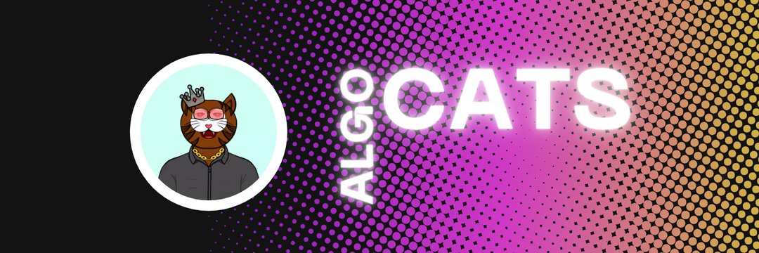 AlgoCats V2 banner