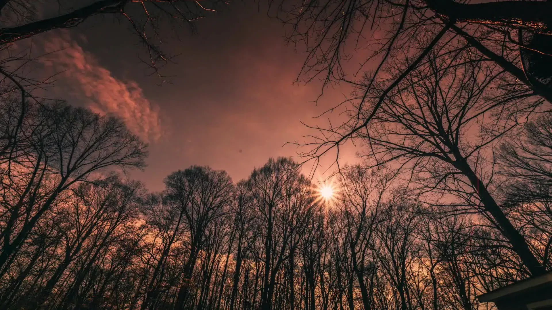 An image of Cloudlapse Treetops