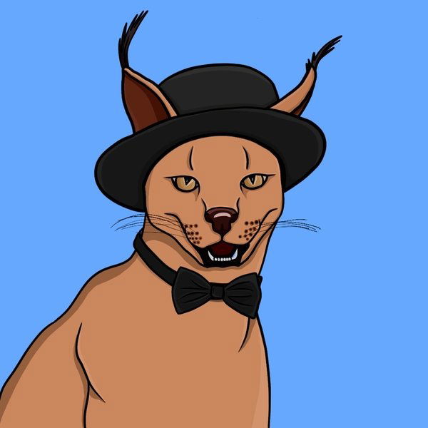 Lince The Cat's avatar