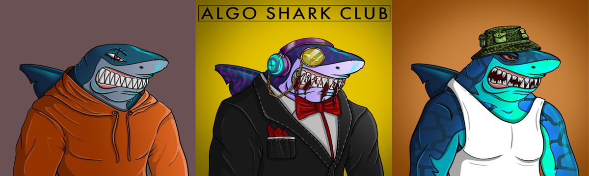 Algo Shark Club banner