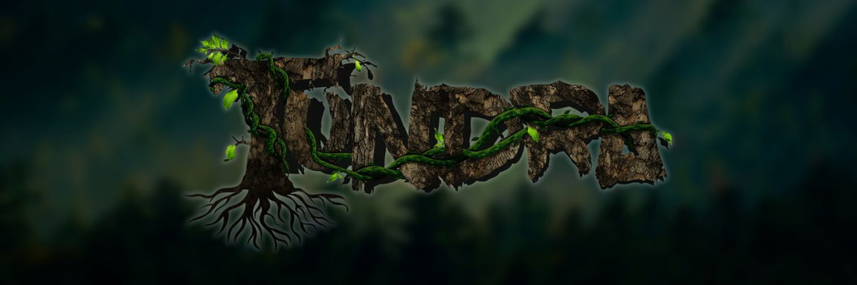 Algo Tundra banner