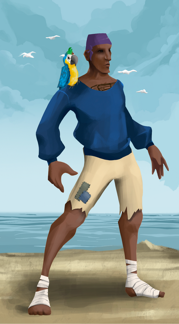 Image of AlgoSeas Pirate #74